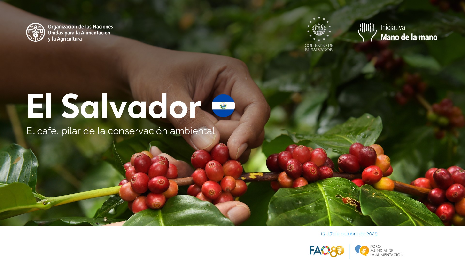 El Salvador landscape