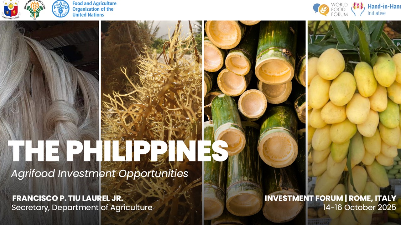 Philippines landscape