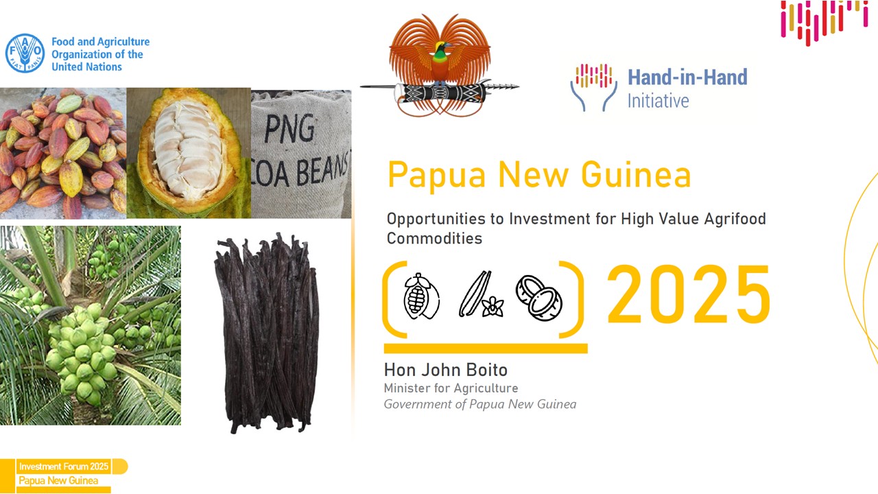 Papua New Guinea landscape